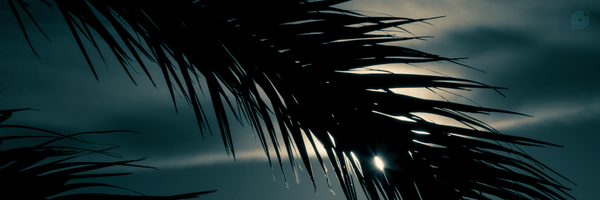 ‌hsam m‌'s header picture