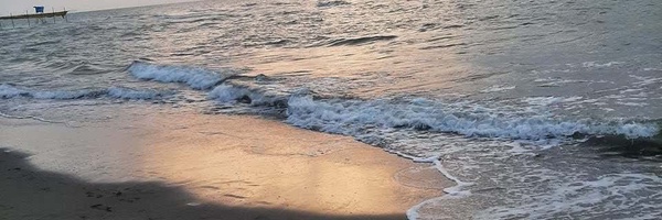 ‌حنا تقوی‌'s header picture