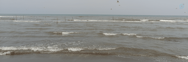 ‌مجید خانپور‌'s header picture