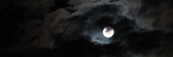 ‌مهسانا 🌙‌'s header picture