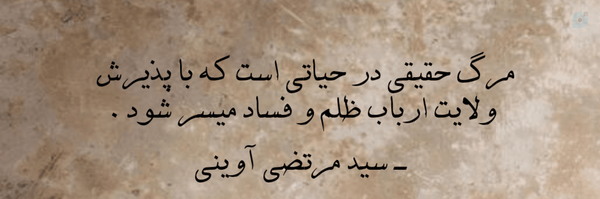 ‌:نازنین 🌿‌'s header picture