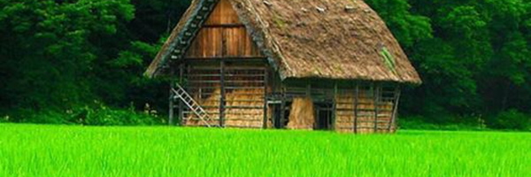 ‌رضا عطایی‌'s header picture