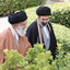 Profile picture of ‌Mehdy Asgary‌