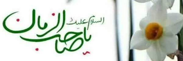 ‌M S.A‌'s header picture