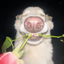 Profile picture of ‌Armita‌