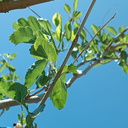 Profile picture of ‌علی نوروزی‌
