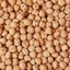 Profile picture of ‌نخود هر آش‌