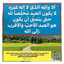 Profile picture of ‌نبيل مجاهد محمد الفقيه ابو رضوان‌