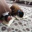 Profile picture of ‌جواد‌
