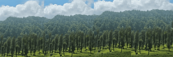 ‌Goli.™️‌'s header picture