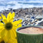 Profile picture of ‌یک فنجان معرفت‌