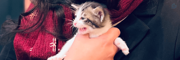 ‌فیبی بوفِی🍓‌'s header picture