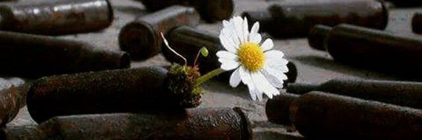 ‌Mahdiyar‌'s header picture