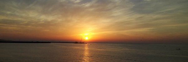 ‌Alireza Rahimi‌'s header picture