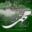 Profile picture of ‌A.M آمنه محمدی‌