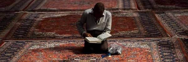 ‌علیرضا صادق‌زاده‌'s header picture