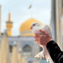 Profile picture of ‌خانمِ‌اوتارلو🇮🇷‌