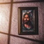 Profile picture of ‌محمدرضا شاد‌