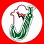 Profile picture of ‌یمن الاسلام‌