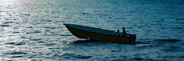 ‌رضا کرمزاد‌'s header picture
