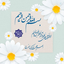 Profile picture of ‌محمد ابوترابي‌