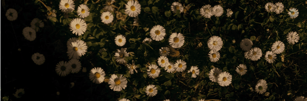 ‌تراوشاتِ ذهنِ یک⭐️( ستاره)‌'s header picture
