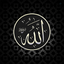Profile picture of ‌حجت خراساني‌