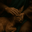 Profile picture of ‌Mohammad Mahdi‌