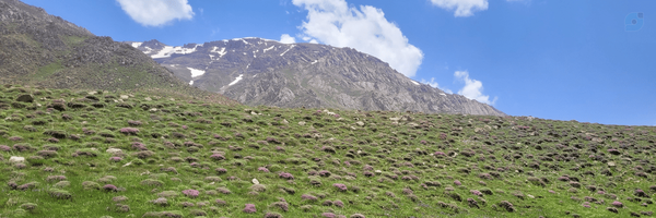 ‌سیده عذرا حسینی‌'s header picture