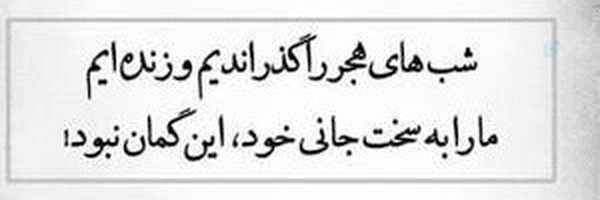 ‌نرگس‌'s header picture