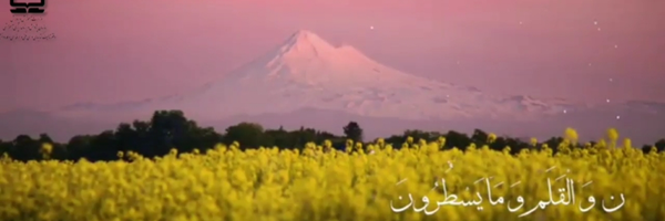 ‌مجتبی انصاری پور‌'s header picture