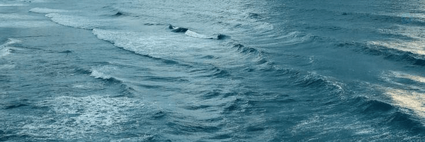 ‌Zak‌'s header picture