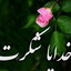 Profile picture of ‌(محمود) زنجانی‌