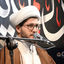 Profile picture of ‌محمد حسین جنگجو‌