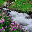 Profile picture of ‌مریم کرمی‌