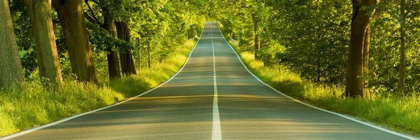 ‌مهدی سجّاسی‌'s header picture