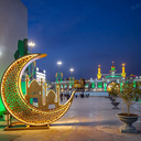 Profile picture of ‌فائزه سادات موسوی‌