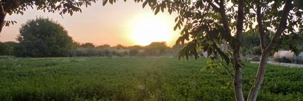 ‌محمدصادق‌'s header picture