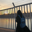 Profile picture of ‌- نازنین‌زهرايِ‌ایران .‌