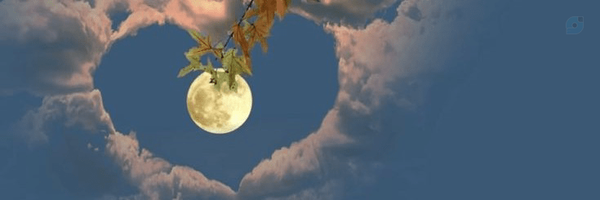 ‌زهرا عبداللهی‌'s header picture