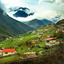 Profile picture of ‌سیدعلی‌
