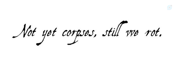 ‌Ar3mis‌'s header picture