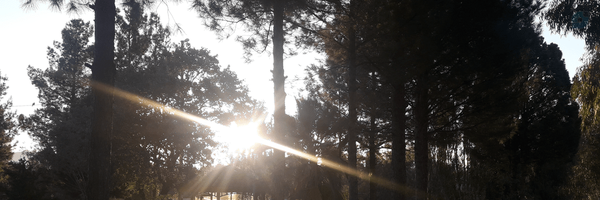 ‌علی ملائی‌'s header picture