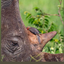 Profile picture of ‌hanieh 001‌