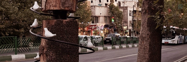 ‌Bidels1‌'s header picture