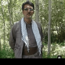 Profile picture of ‌محمود احمدی‌