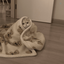 Profile picture of ‌Mew‌