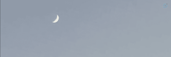 ‌محمد جواد کرمانی‌'s header picture