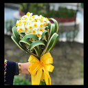 Profile picture of ‌Zahra Khozstan‌