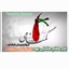 Profile picture of ‌Namira Zaman_saeid mahziyar1919‌